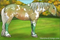 Horse Color:Watercolor White Spotted Silver Brown 