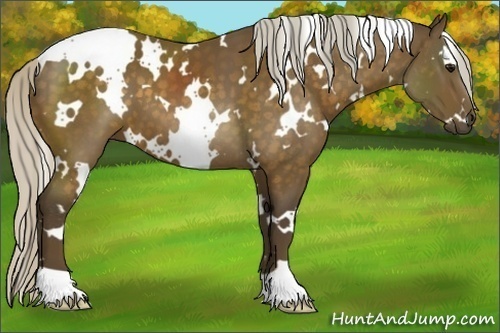 Horse Color:White Spotted Silver Buckskin 