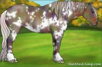 Horse Color:Nacre White Spotted Silver Brown