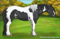 Horse Color:Black Sabino Tobiano
