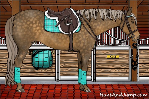 Horse Color:Chocolate Palomino 