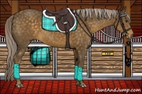 Horse Color:Chocolate Palomino 