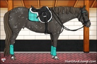 Horse Color:Smoky Black Snowflake Varnish 