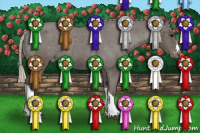 Horse Color:Silver Black Appaloosa Rabicano