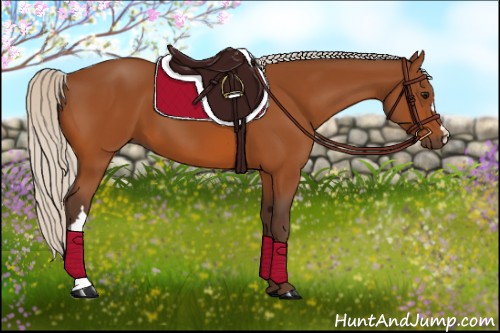 Horse Color:Silver Bay 