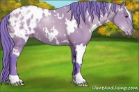 Horse Color:Watercolor White Spotted Black Pearl Appaloosa 