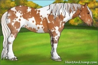 Horse Color:White Spotted Chocolate Silver Bay 