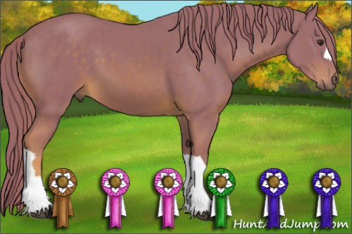 Horse Color:Watercolor Chestnut 