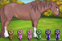 Horse Color:Watercolor Chestnut 