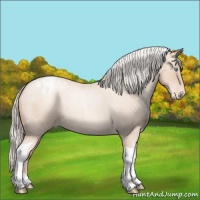 Horse Color:Silver Sable Champagne Roan Pearl Tobiano Appaloosa 