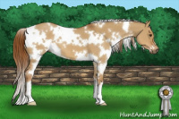 Horse Color:White Spotted Red Dun 