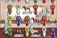 Horse Color:White Spotted Palomino Pearl Dun 