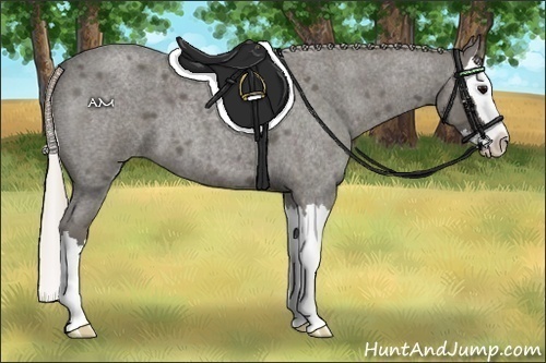 Horse Color:Silver Blue Roan Splash 