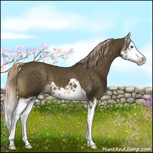Horse Color:Chocolate Palomino Splash
