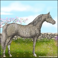 Horse Color:Chocolate Palomino Ice Pearl 