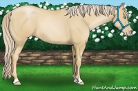 Horse Color:Palomino Pearl 