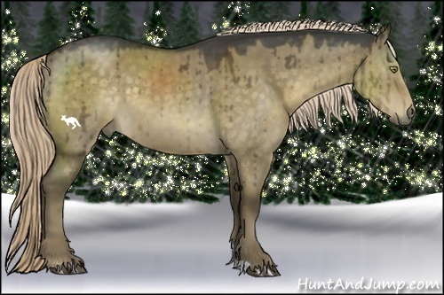 Horse Color:Chocolate Palomino Dun 