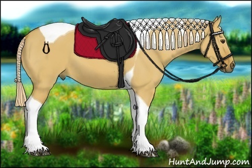 Horse Color:Palomino Dun Tobiano