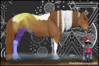 Horse Color:Chestnut Tobiano