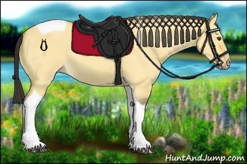 Horse Color:Buckskin Dun Sabino Tobiano 
