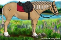 Horse Color:Palomino Sabino