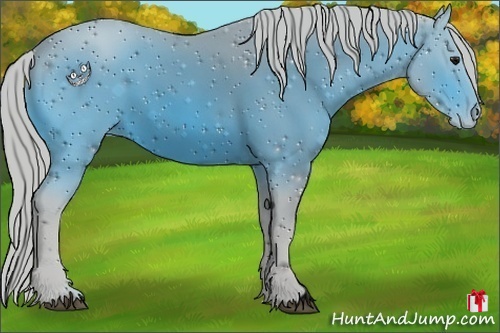 Horse Color:ERROR: UNKNOWN ANOMALY