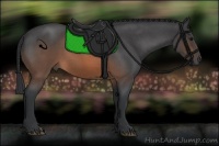 Horse Color:Brown Roan