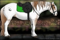 Horse Color:White Spotted Red Roan Appaloosa 