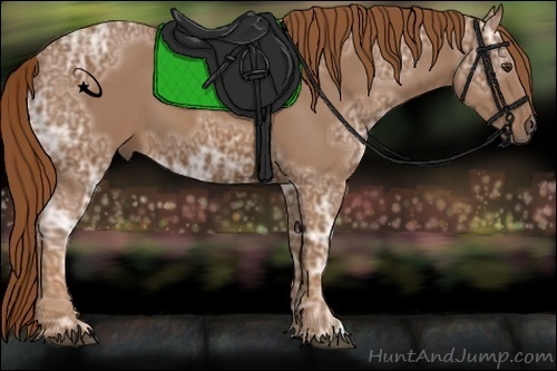 Horse Color:Chestnut Ice 