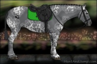 Horse Color:Black Ice 