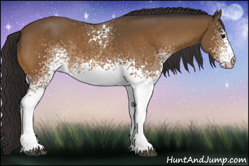 Horse Color:White Spotted Buckskin
