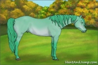 Horse Color:Watercolor Bay 