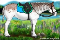 Horse Color:White Spotted Silver Bay 