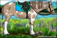 Horse Color:White Spotted Red Dun 