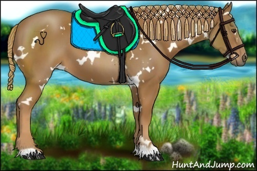 Horse Color:White Spotted Chestnut 