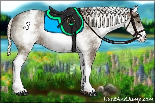 Horse Color:White Spotted Silver Black 