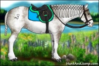 Horse Color:White Spotted Silver Black 