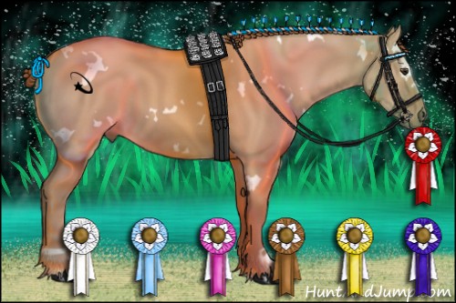 Horse Color:White Spotted Red Dun 