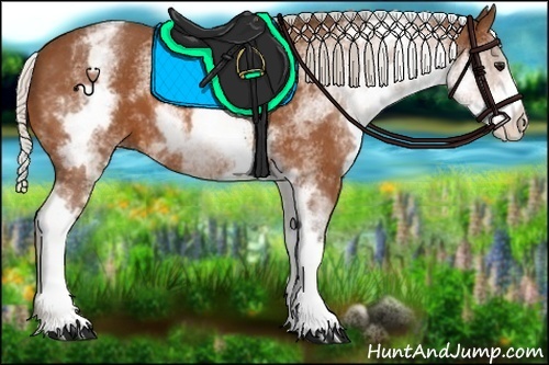 Horse Color:White Spotted Silver Bay