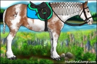 Horse Color:White Spotted Silver Bay 