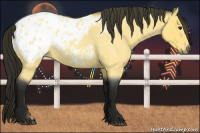 Horse Color:Gray Buckskin Roan Blanket 