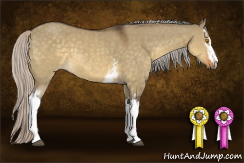 Horse Color:White Spotted Silver Buckskin Dun Sabino 