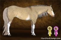 Horse Color:White Spotted Silver Buckskin Dun Sabino