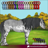 Horse Color:Grullo Chinchilla Splash Brindle 