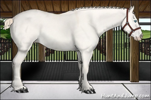 Horse Color:Perlino Dun 