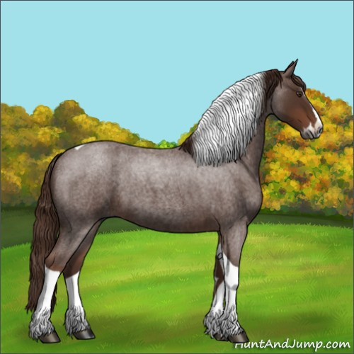 Horse Color:Gray Red Roan Splash Tobiano 