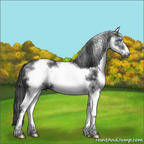 Horse Color:White Spotted Black Sabino Frame 