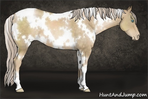 Horse Color:White Spotted Chocolate Palomino Pearl