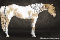 Horse Color:White Spotted Chestnut Pearl 