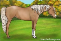 Horse Color:Silver Brown Pearl